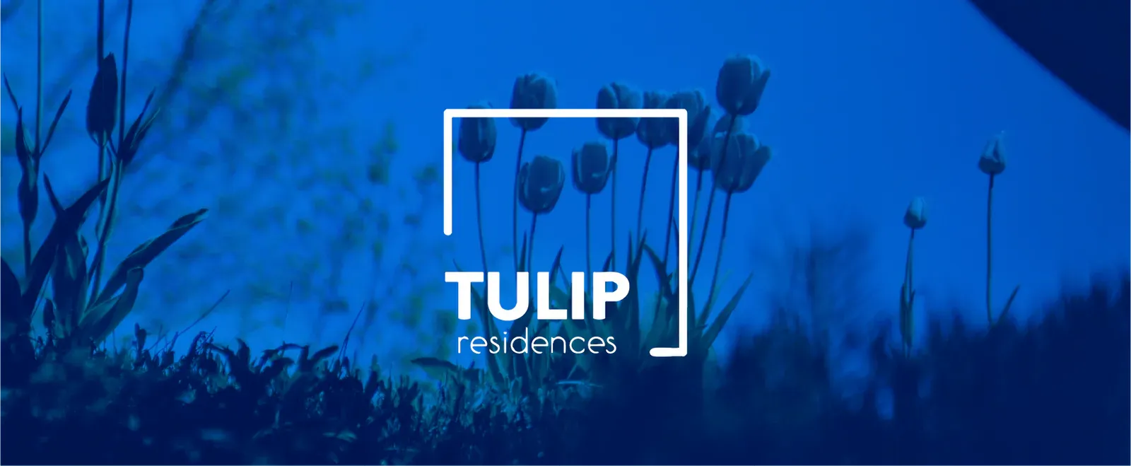 tulip residences cerca