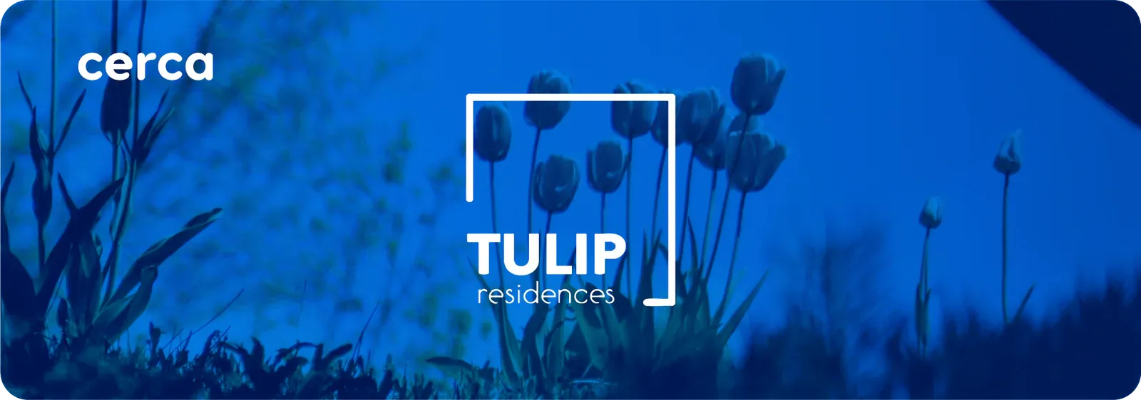 tulip residences cerca