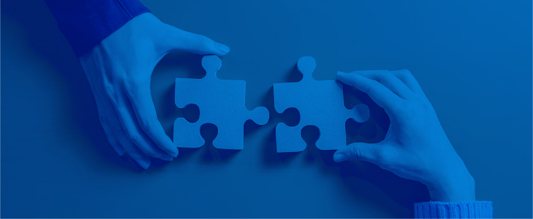 new-partners-2015minia