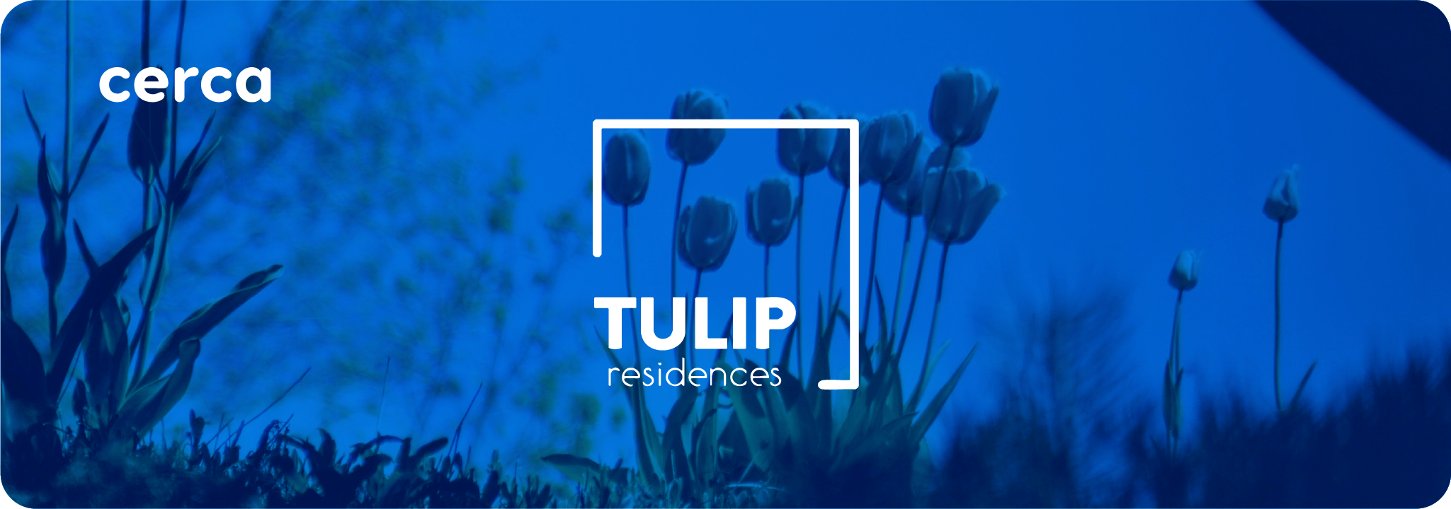 tulip residences cerca