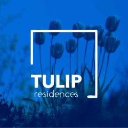 tulip residences cerca