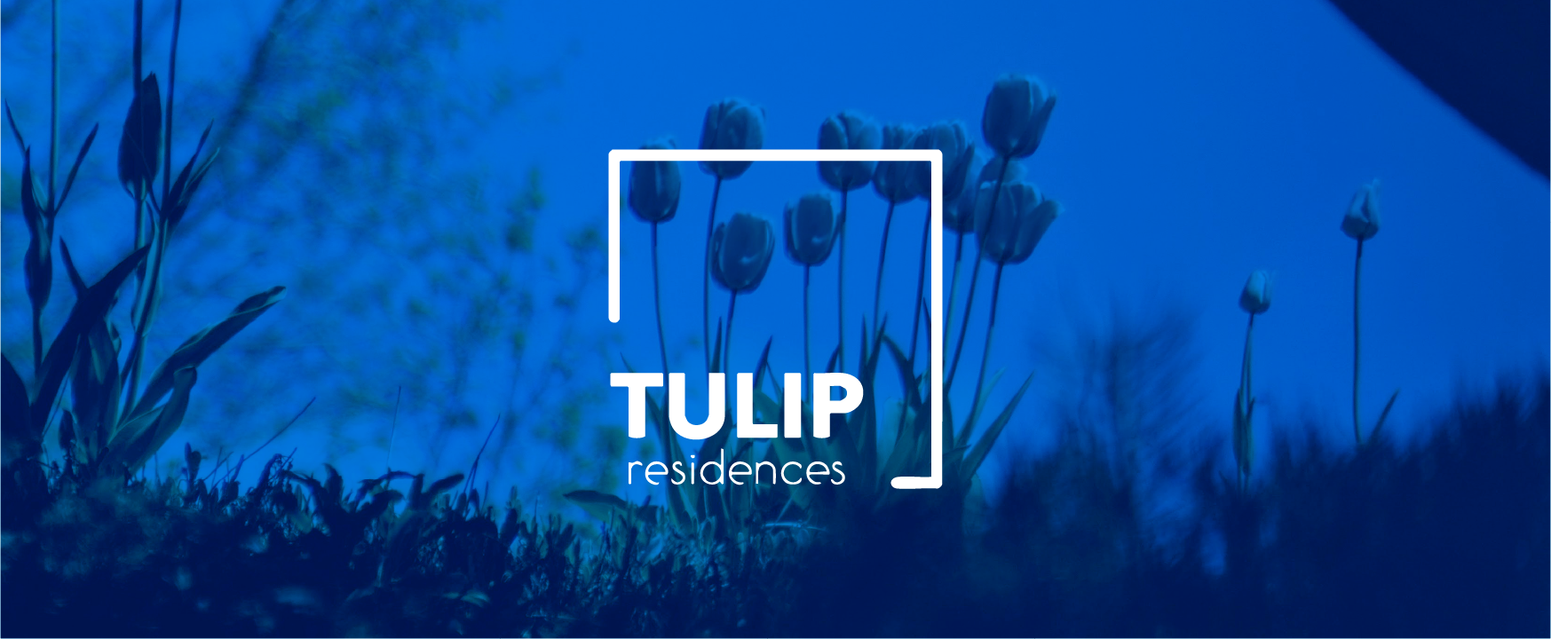 new-client-tulip-residences-minia