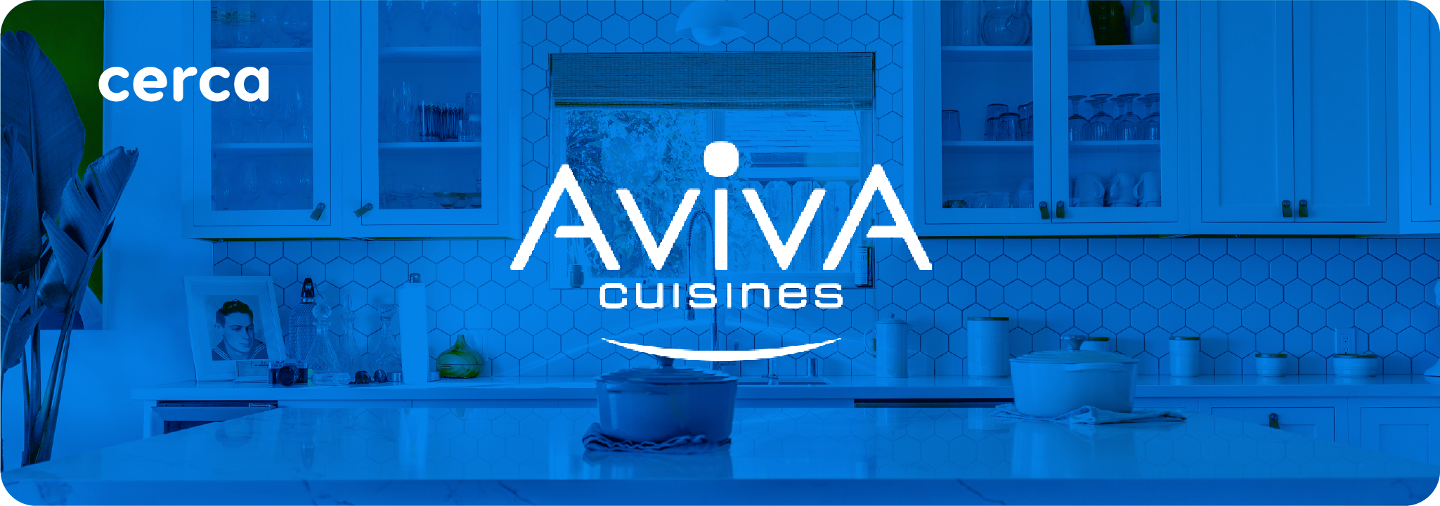 aviva cerca